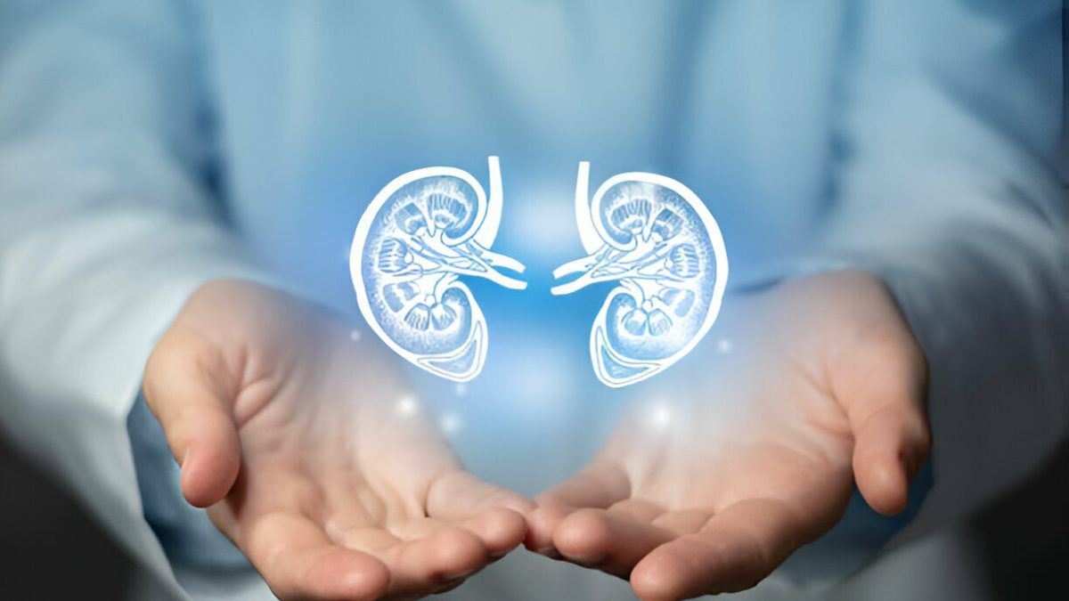 kidney stone doctor in Chandigarh